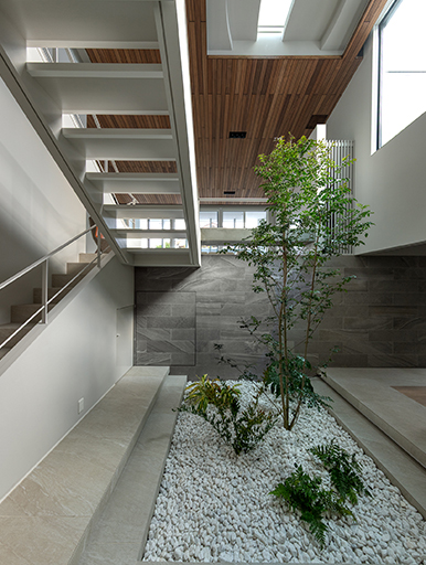 LIGHT COURT HOUSE